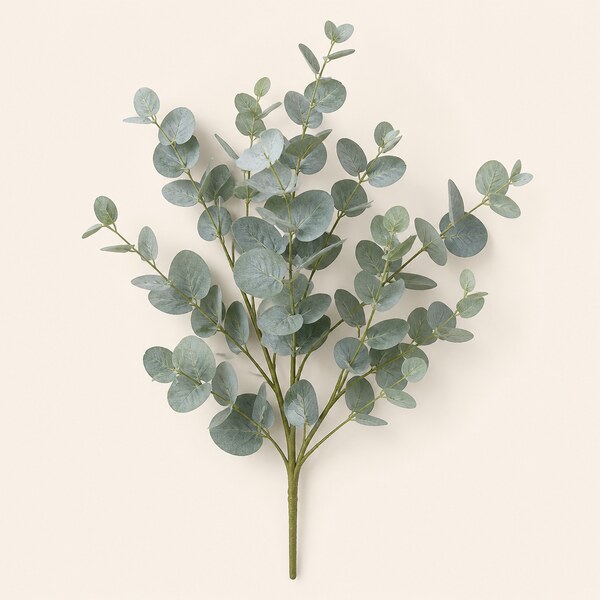 Eucalyptus Leaf Spray