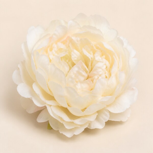 Peony Bloom Cream